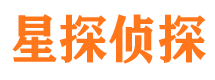 雁峰市私家侦探